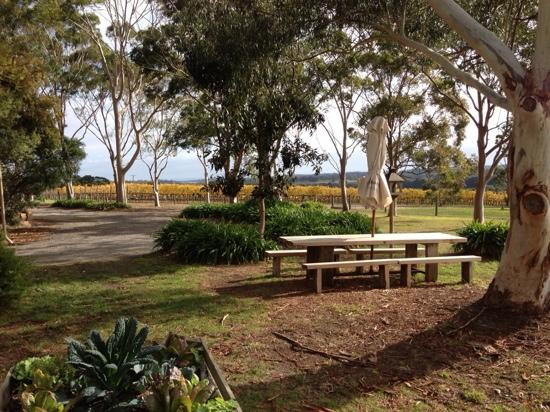 Between The Bays Winery Tours景点图片