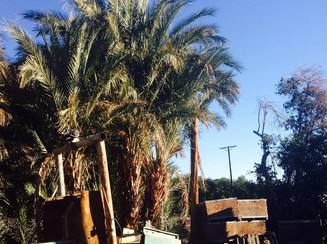 Date Gardens-Coachella必去景点