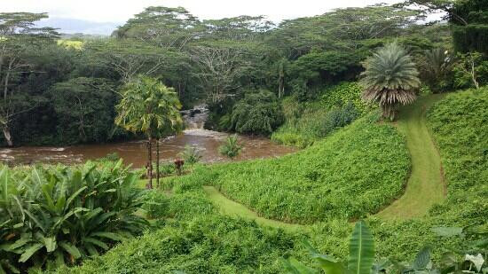 Kauai's Hindu Monastery-卡帕阿必去景点