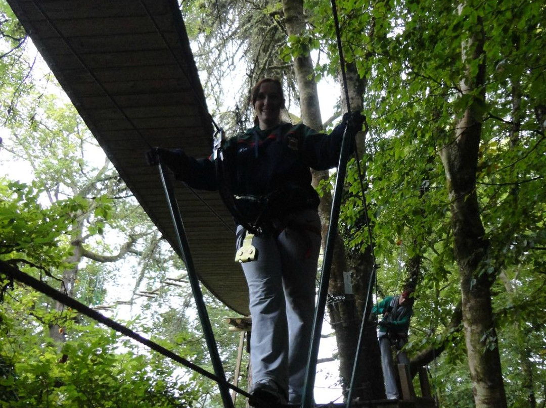 Zipit Forest Adventures
