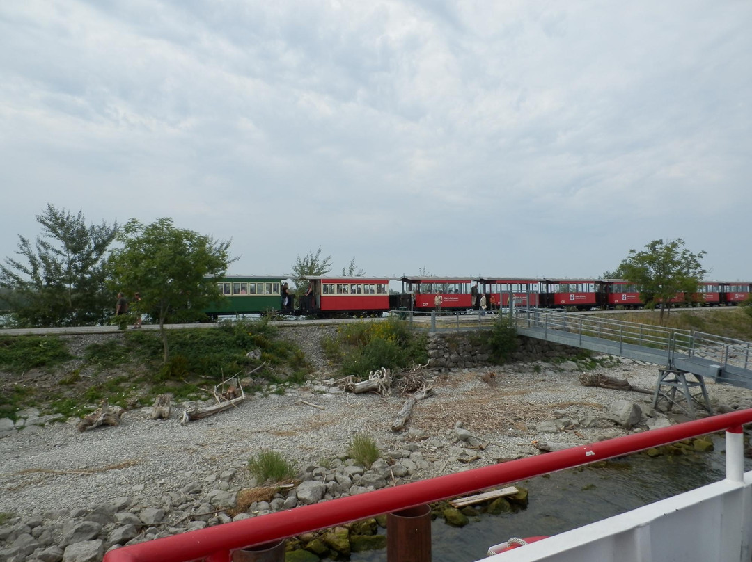 Rhein-Schauen, Museum und Rheinbahnle景点图片