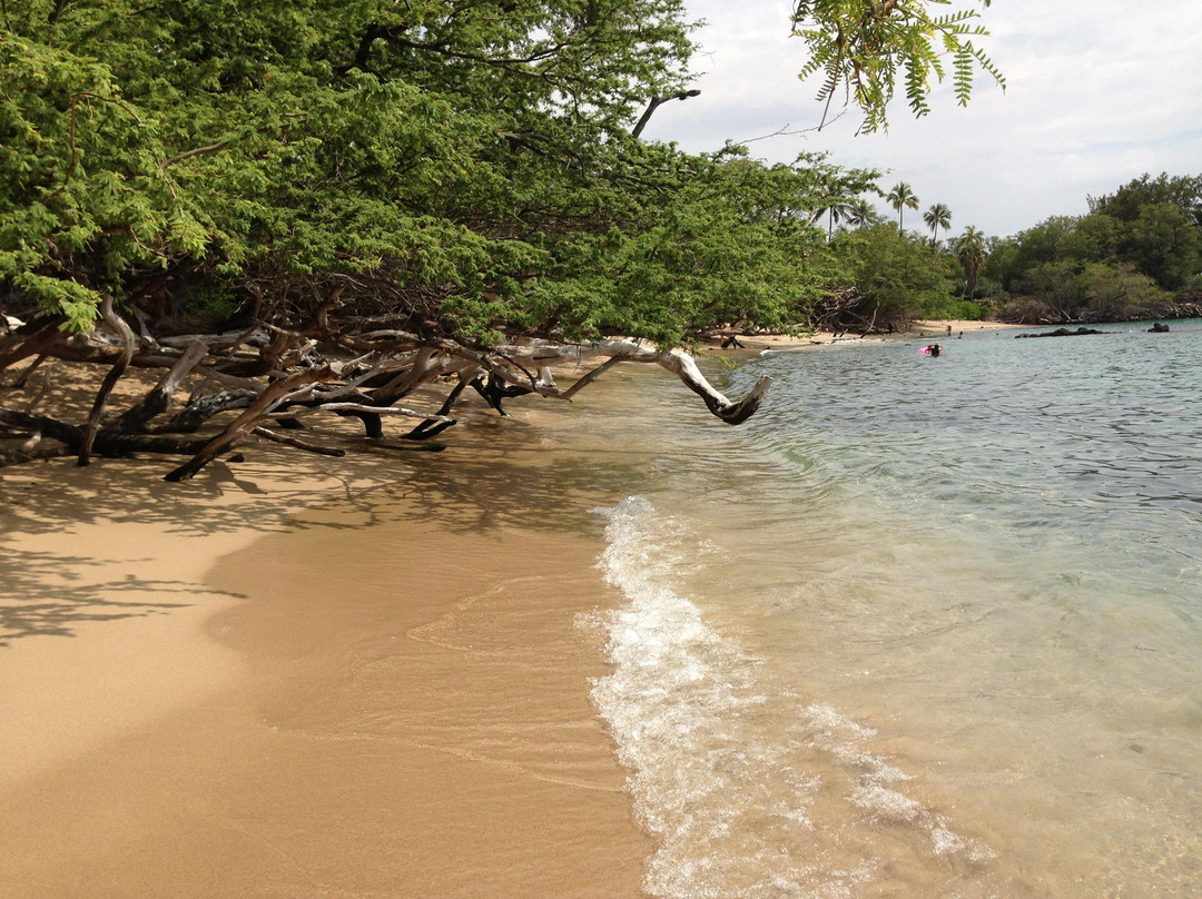 Waialea Beach-卡慕也拉必去景点