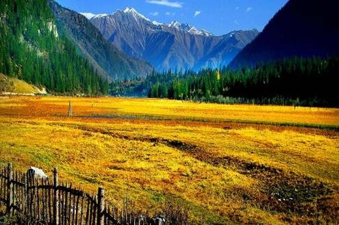 甘海子国家森林公园-九寨沟县必去景点