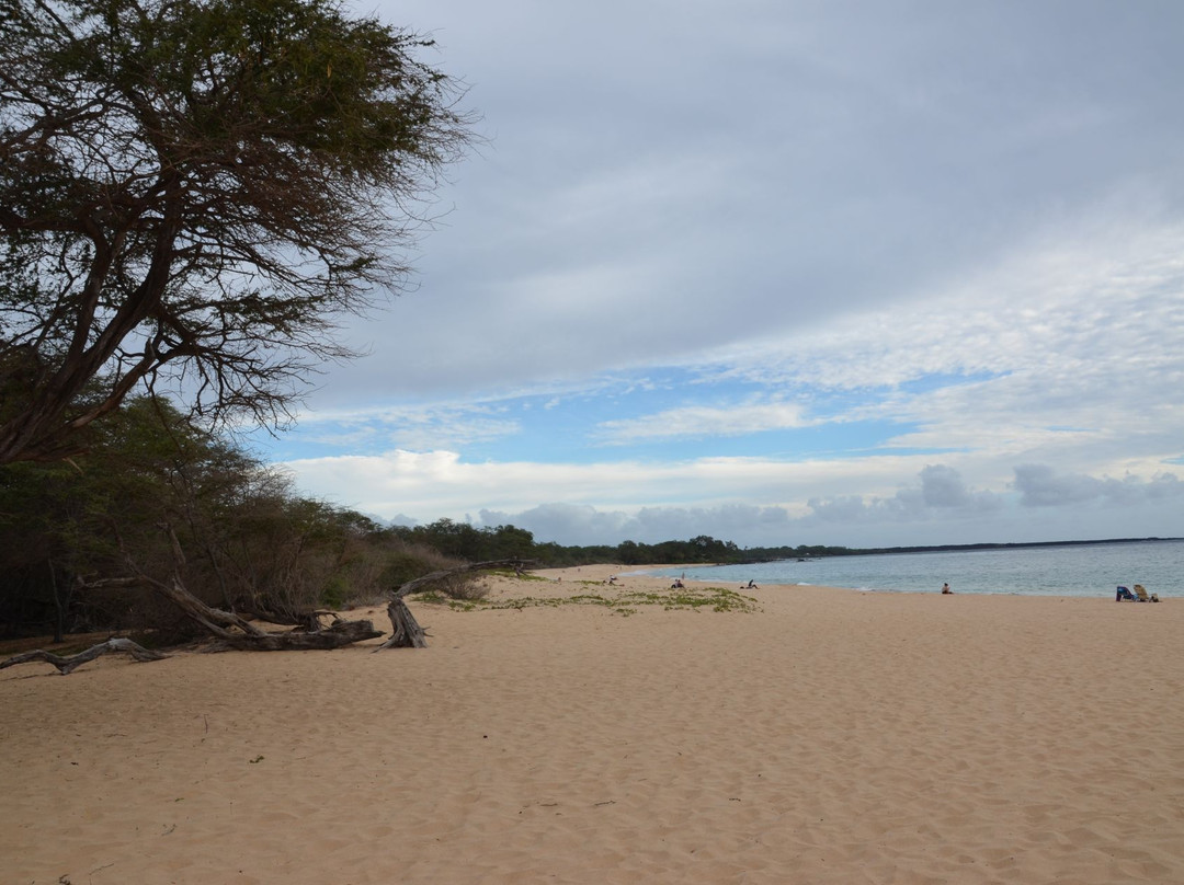 尼拉海滩-维雷亚必去景点