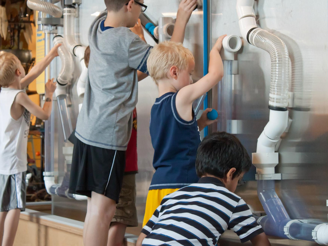 Buffalo Museum of Science-水牛城必去景点