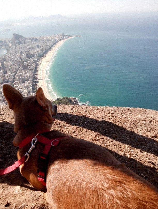 Morro Dois Irmaos-里约热内卢必去景点