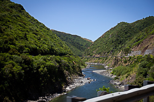 Tararua Tiki Tours Day Tours景点图片