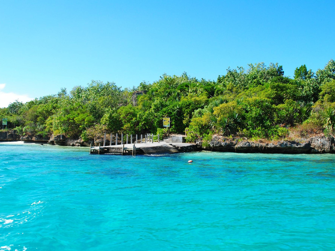 Ile aux Aigrettes Nature Reserve-毛里求斯必去景点