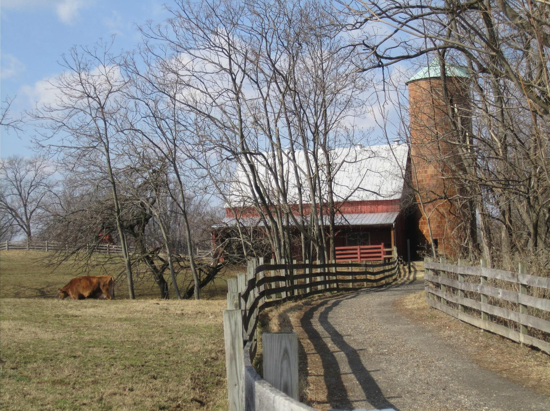 Oxon Cove Park & Oxon Hill Farm-奥克森山必去景点
