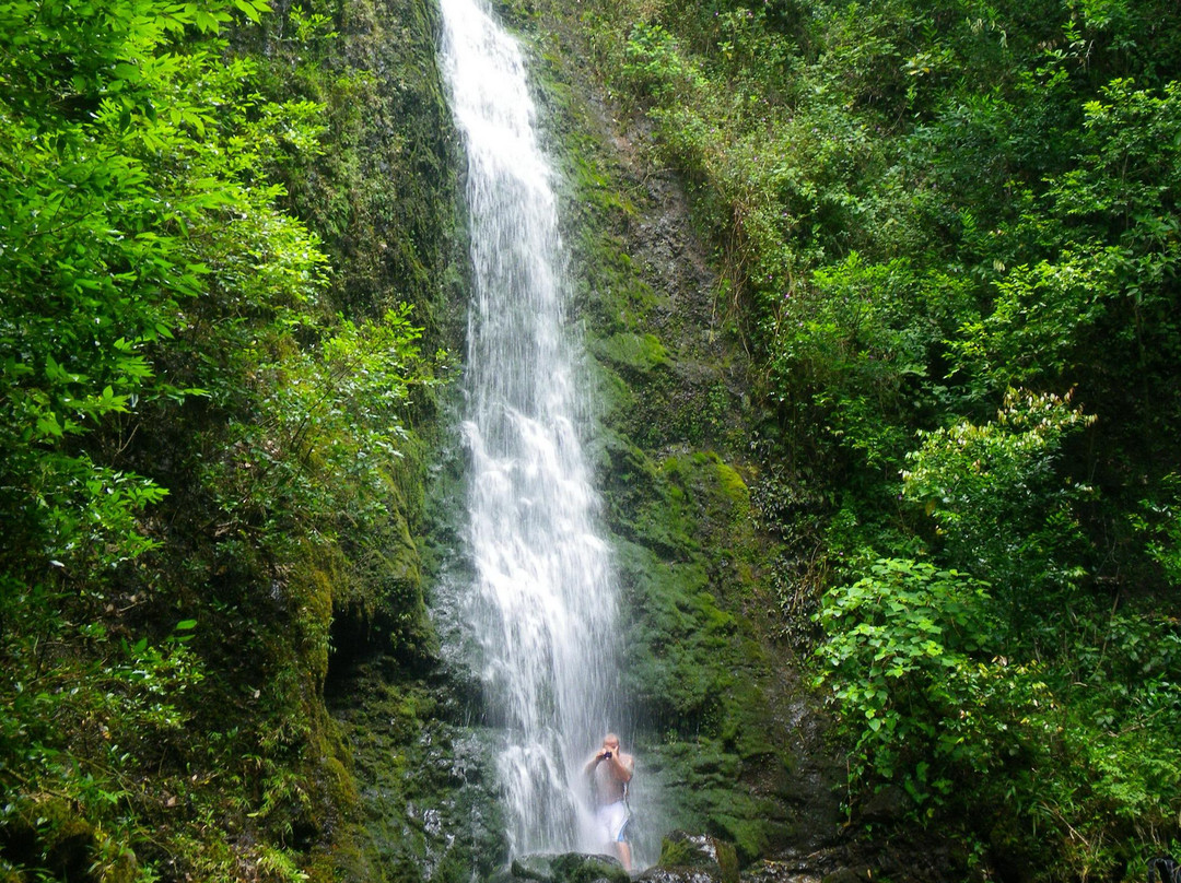 Adventure Tours Hawaii-瓦胡岛必去景点