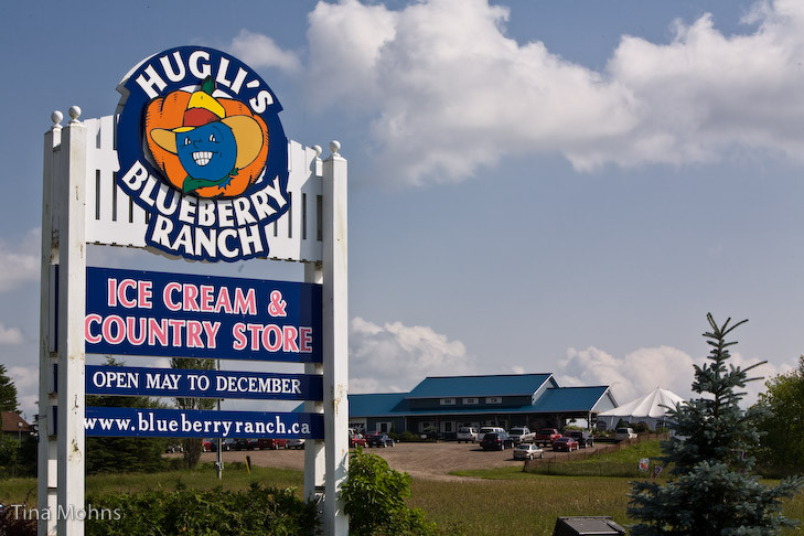 Hugli's Blueberry Ranch & Country Gift Store-Pembroke必去景点