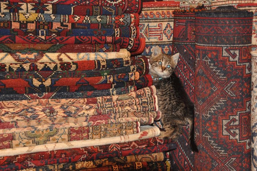 阿拉斯塔市集-伊斯坦布尔必去景点