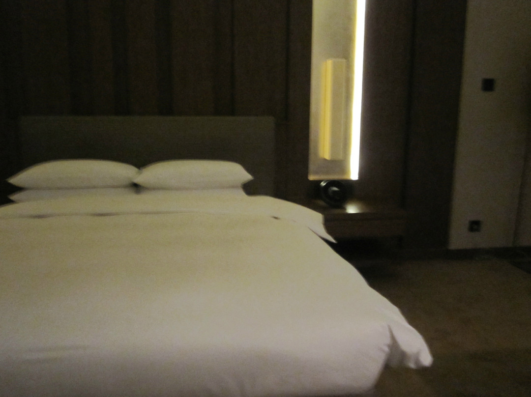 中天凯悦酒店主图