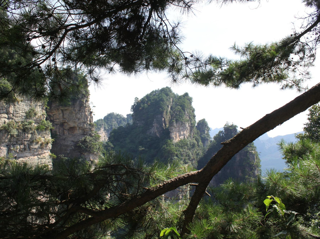 乌龙寨-张家界市必去景点