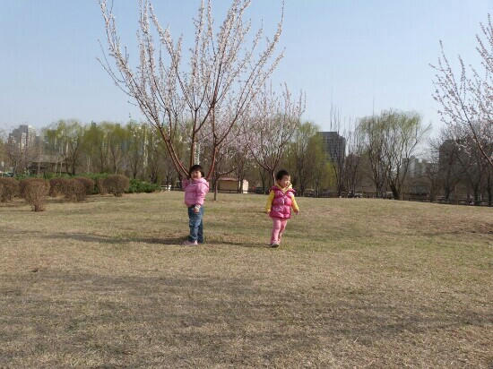 天津动物园-天津市必去景点