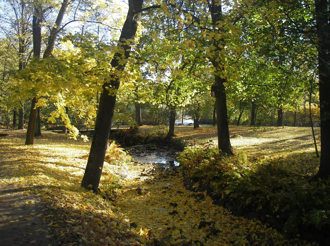 Boulognerskogen City Park-Gävle必去景点