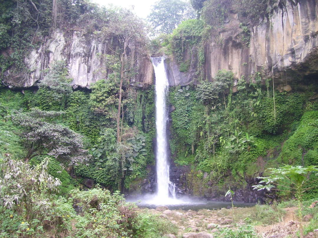 Coban Jahe Waterfall景点图片