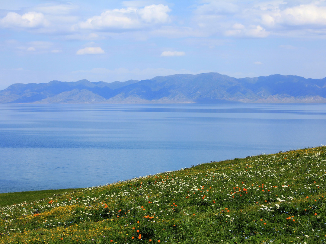 赛里木湖景点图片
