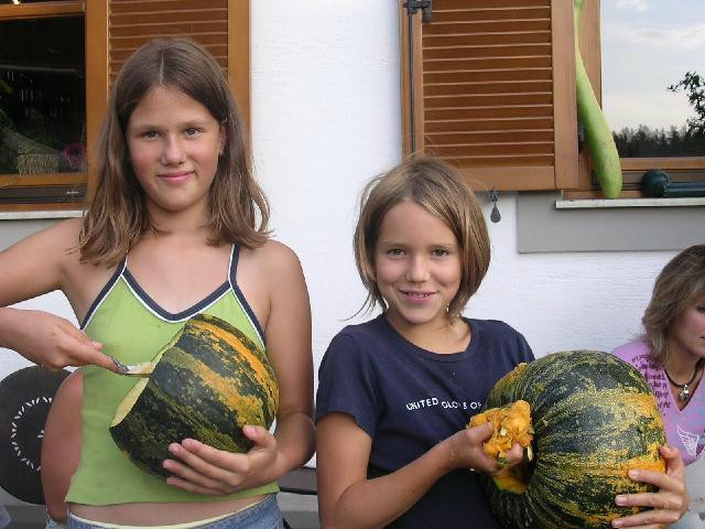 Winzerzimmer Pronegg vlg. Kristeindl主图