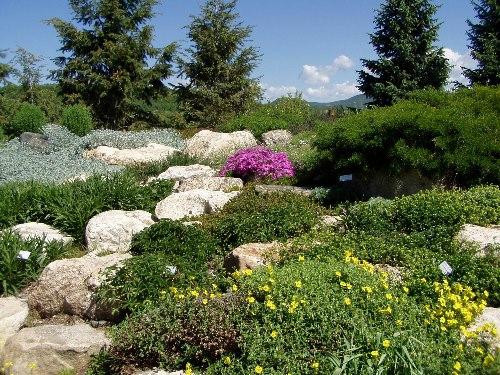 Yampa River Botanic Park-斯廷博特斯普林斯必去景点