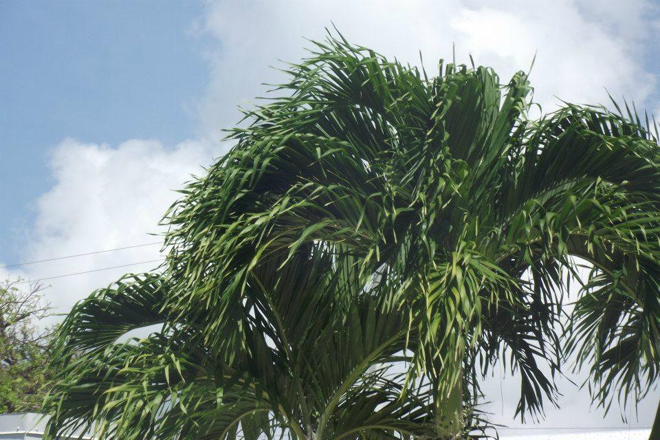 MiLo Watersports-Summerland Key必去景点