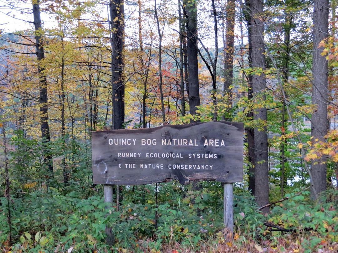 Quincy Bog Natural Area景点图片