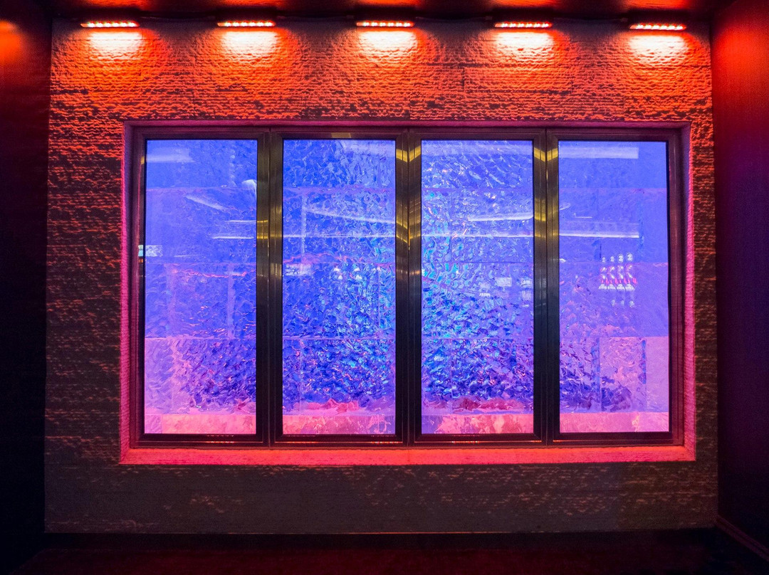 Minus 5 Ice Lounge夜店-拉斯维加斯必去景点