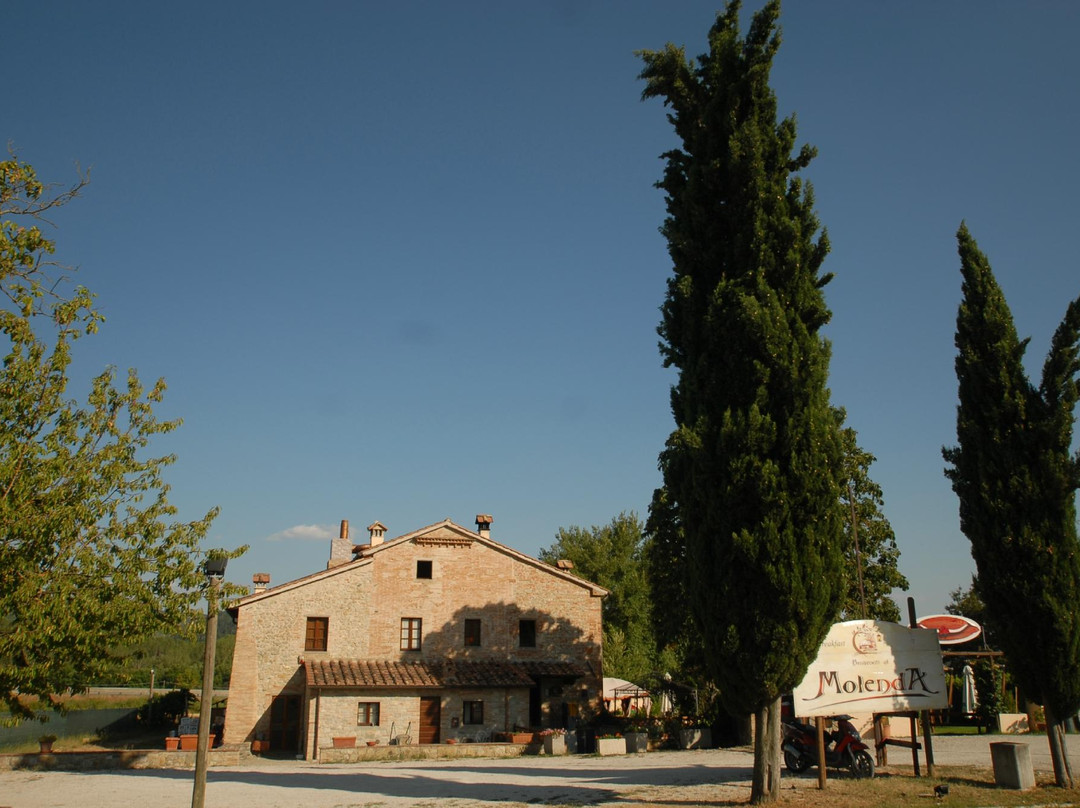 Monte Santa Maria Tiberina酒店住宿-Molenda Bed & Breakfast