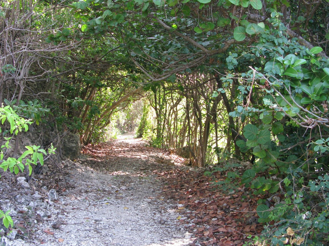 Caribbean Motorcycle Guided Tours-布里奇顿必去景点