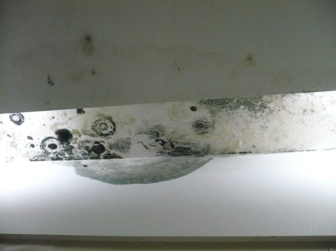 洪城铭豪商务酒店主图