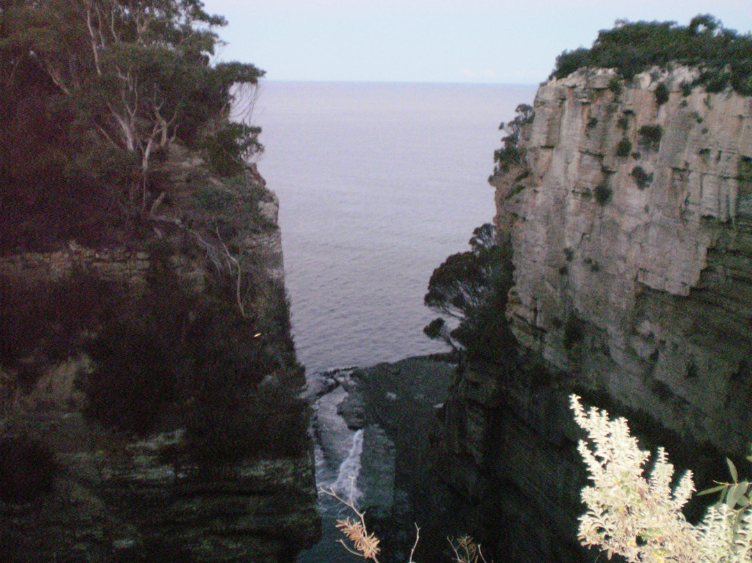 VIP Tours Tasmania - Tours-索雷尔必去景点