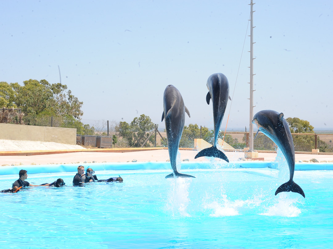 Friguia Park-哈玛麦德必去景点