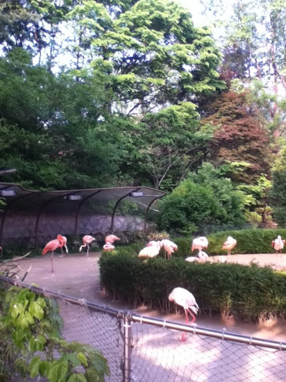 Seoul Grand Park-果川市必去景点