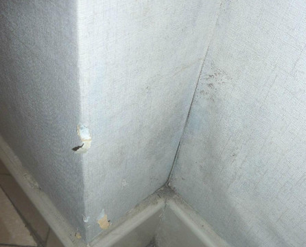 城市便捷酒店(广州十三行上下九步行街一店)主图