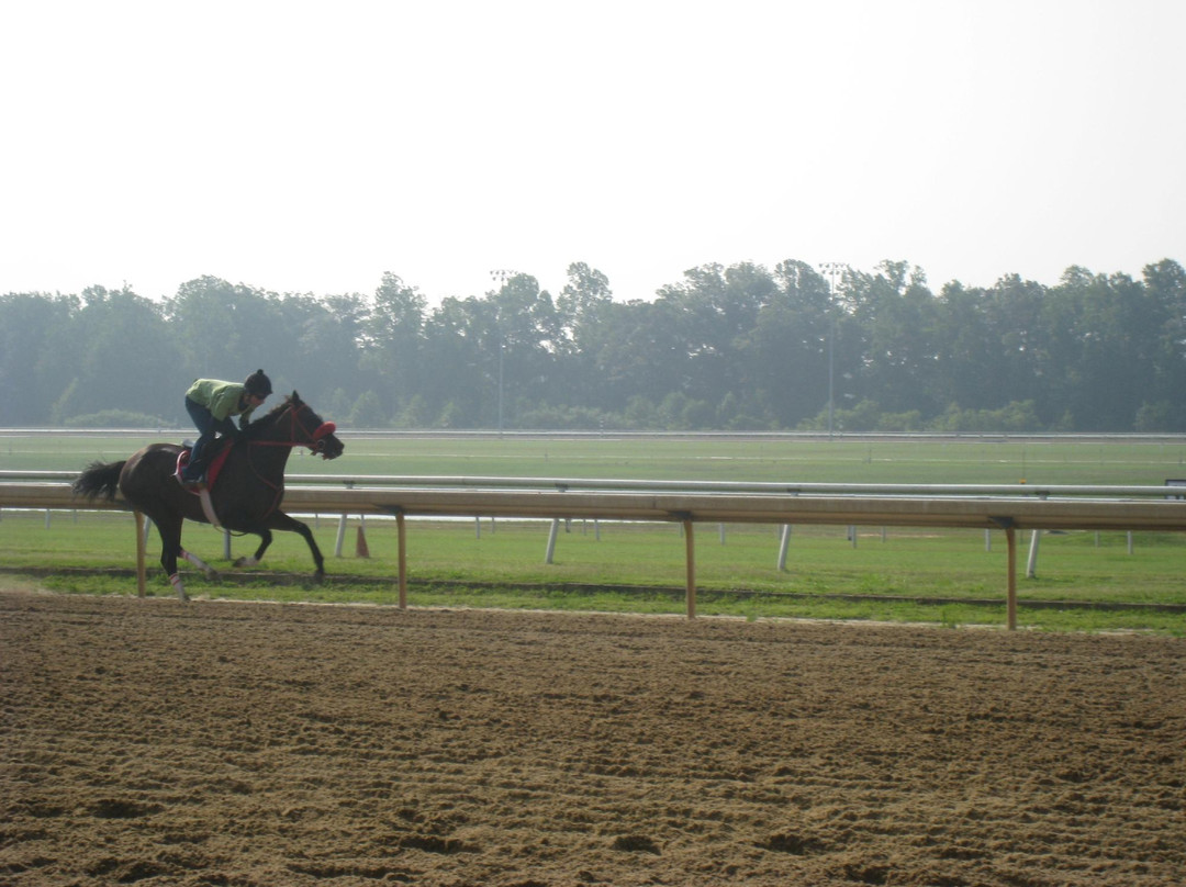 Colonial Downs-New Kent必去景点