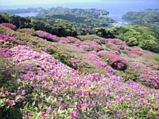 Nagushiyama Park-佐世保市必去景点