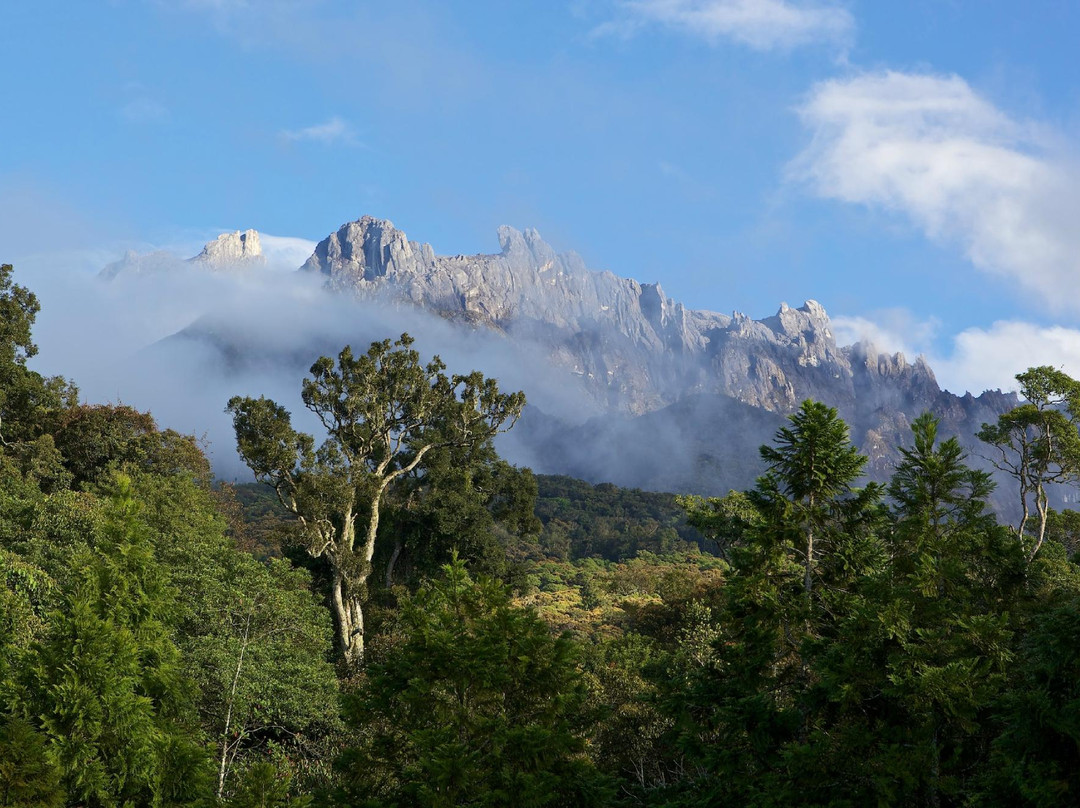 Magic Mountain Country Home主图