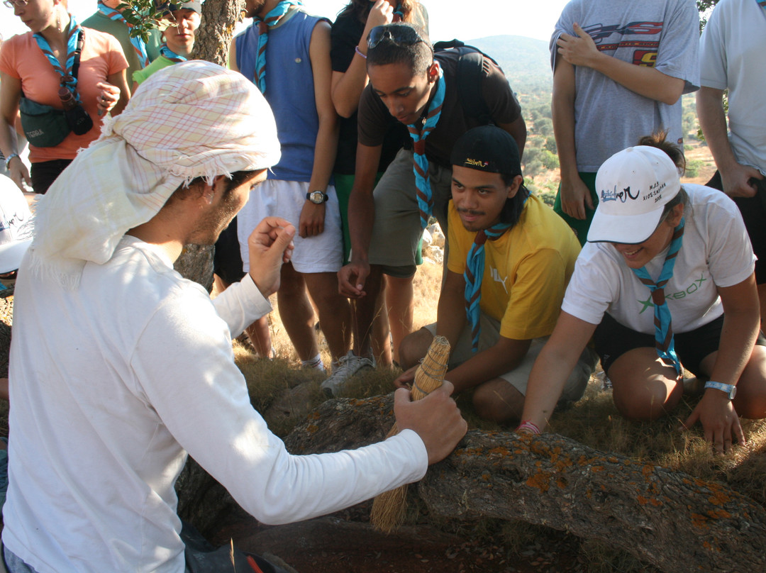 Masticulture-Mesta必去景点