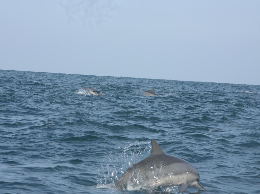 Ruwala Nature & Adventure Park-卡尔皮蒂耶必去景点