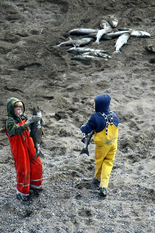 Kenai Beach-基奈必去景点