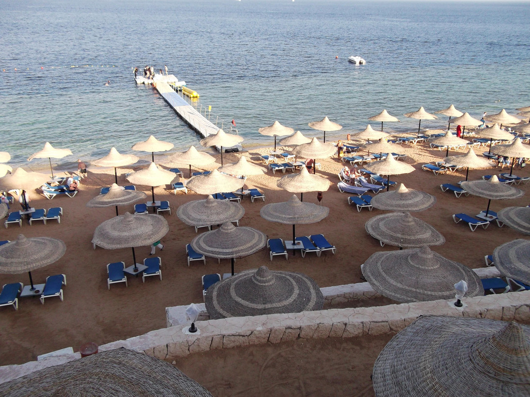 Shark's Bay Beach-沙姆沙伊赫必去景点