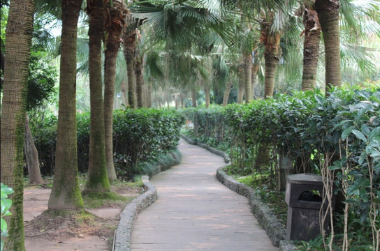 周公山天府温泉酒店主图