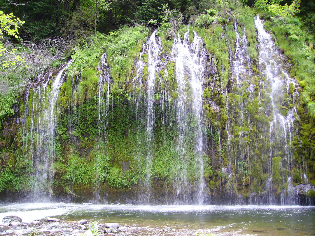 Mossbrae Falls景点图片