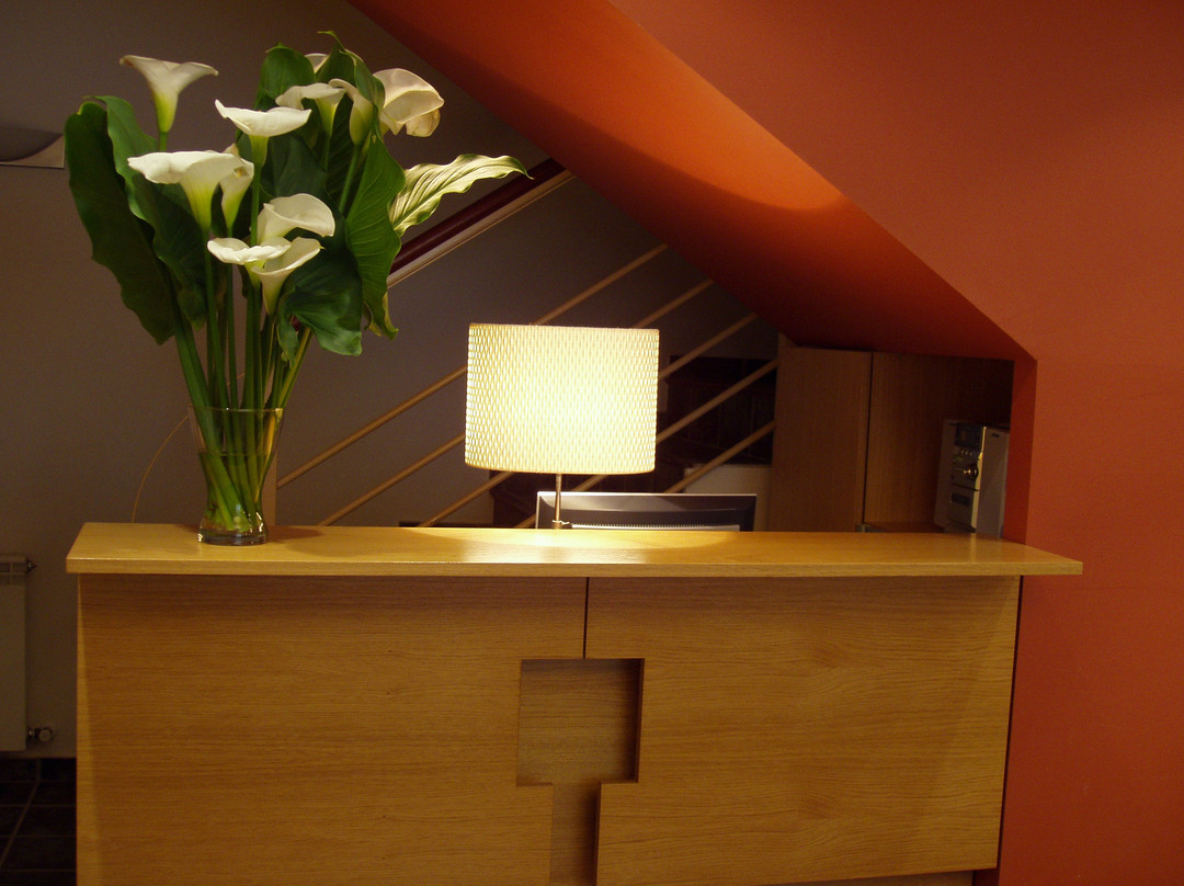 拉特萨尼亚乡村酒店主图