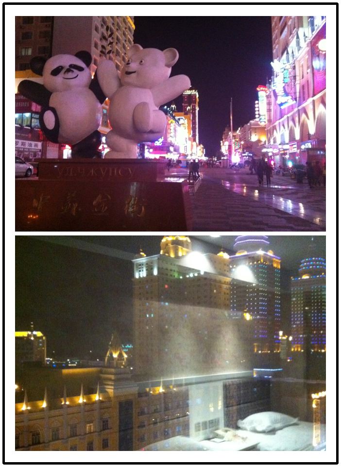 维多利亚酒店-客卧