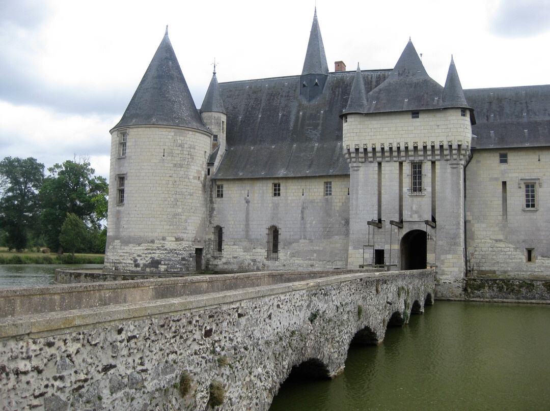 Chateau du Plessis-Bourré景点图片