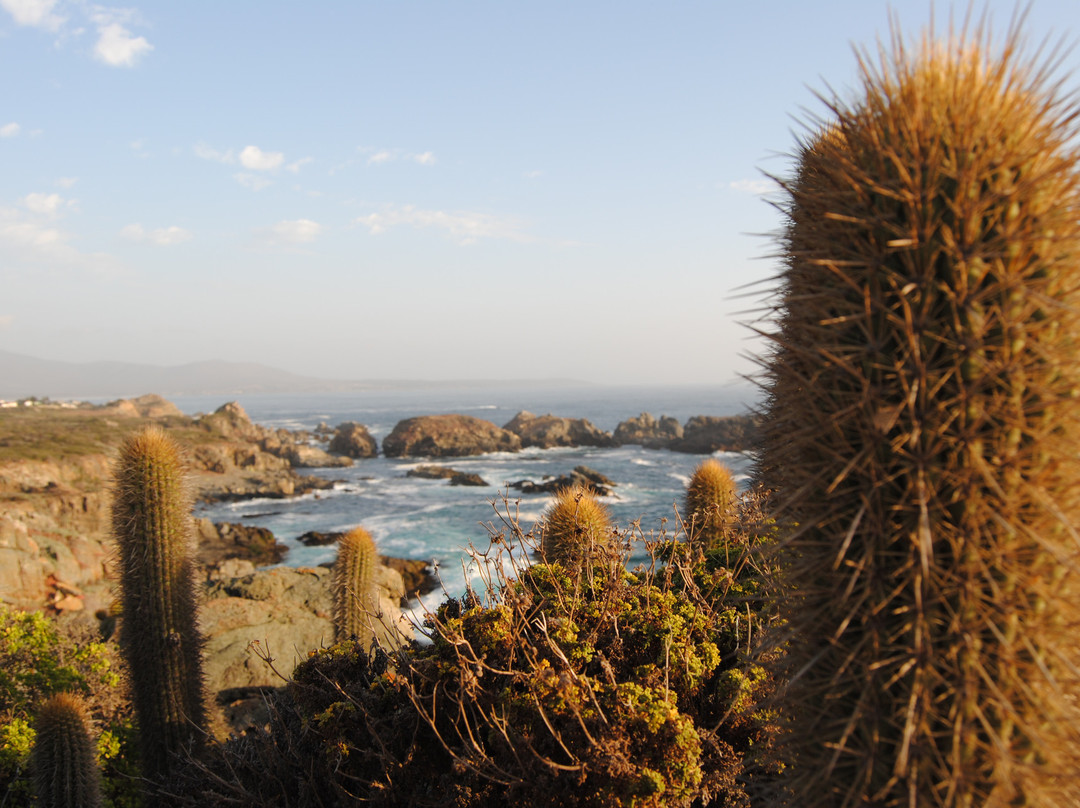 Ecochile & Ecoargentina Travel-圣地亚哥必去景点