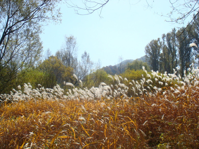 玉渡山自然风景区-北京市必去景点