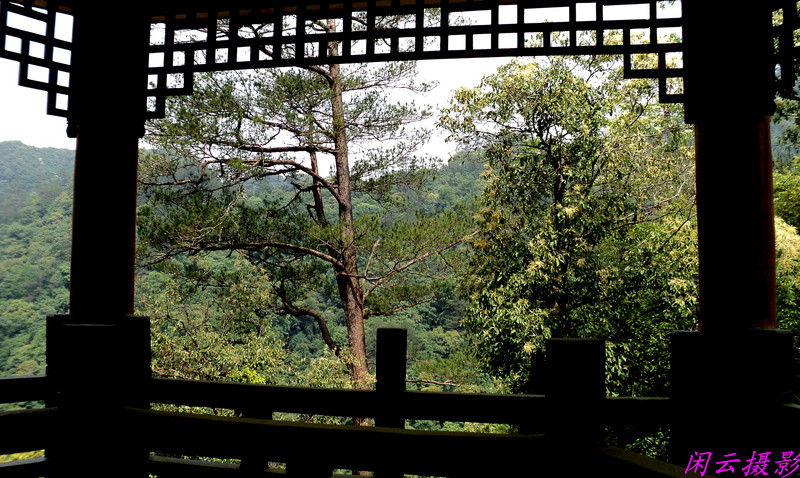 三明萝卜岩楠木自然保护区-沙县必去景点