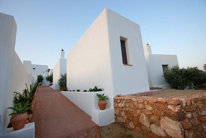 Albaricoques Rural